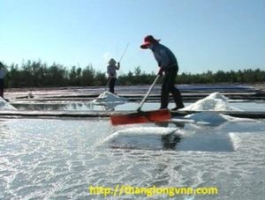 bạt-hdpe-lót-ruộng-muối-ở-Ninh-Thuận